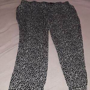 Avenue Polka-dots Pull On Pants